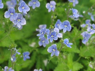 Similar image 20989238