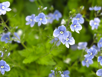 Similar image 20989239