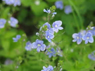 Similar image 20989240