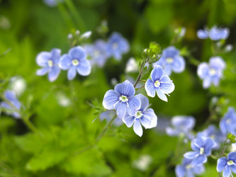 Similar image 20989241