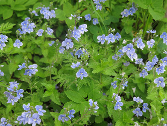 Similar image 20989242