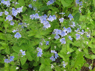 Similar image 20989243