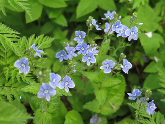 Similar image 20989244