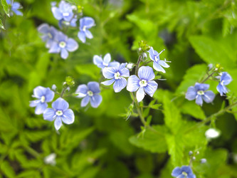 Similar image 20989245