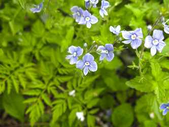 Similar image 20989246