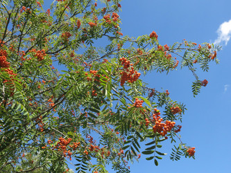 Similar image 20989248