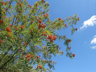 Similar image 20989249