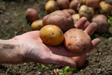 Similar image 20989135