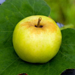 Similar image 20989136