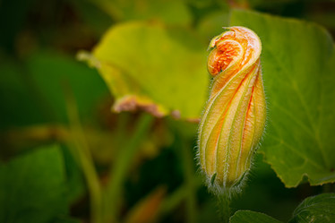 Similar image 20989138