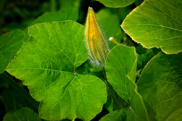 Similar image 20989139