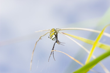 Similar image 20989412