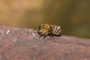 Similar image 20989443