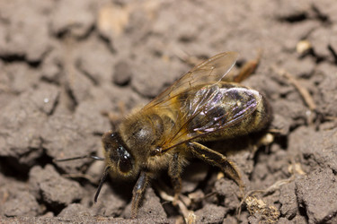 Similar image 20989444