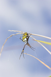 Similar image 20989451