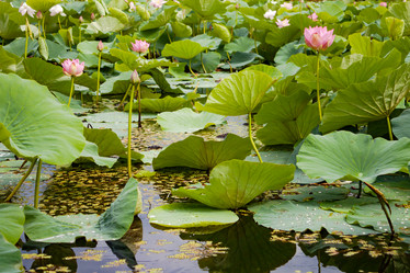 Similar image 20989250