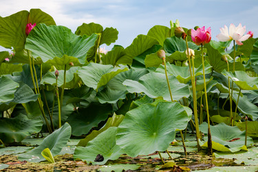 Similar image 20989251