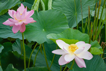 Similar image 20989252