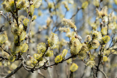 Similar image 20989569