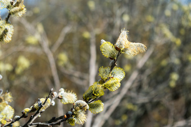 Similar image 20989570