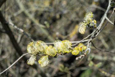 Similar image 20989571