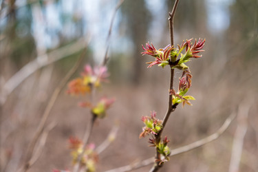 Similar image 20989572