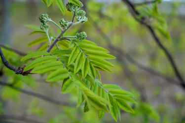 Similar image 20989573