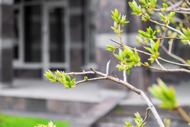 Similar image 20989576