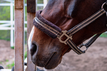 Similar image 20989586