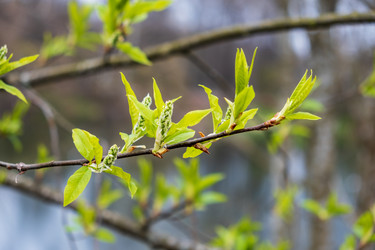 Similar image 20989588