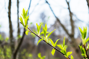 Similar image 20989589