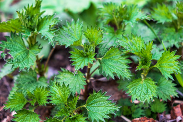 Similar image 20989590