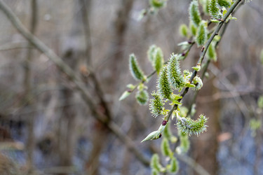 Similar image 20989593