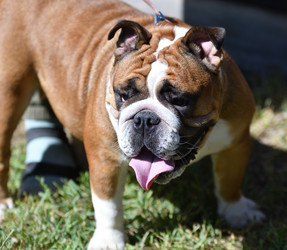 Similar image 21000190