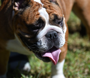 Similar image 21000192