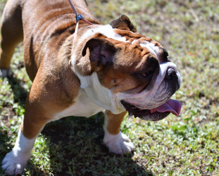 Similar image 21000194