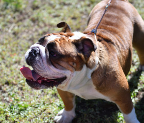 Similar image 21000195