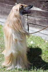 Similar image 21000198