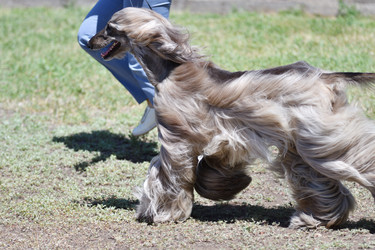 Similar image 21000199