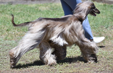 Similar image 21000200