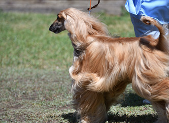 Similar image 21000201