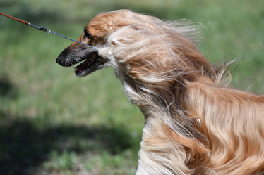 Similar image 21000202