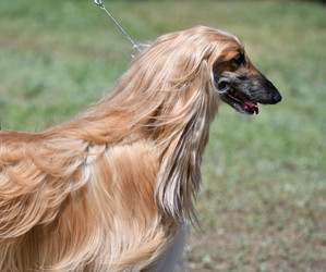 Similar image 21000204