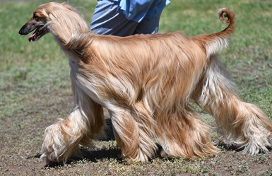 Similar image 21000205