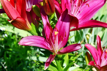 Similar image 21000207