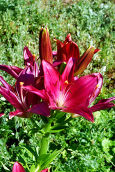 Similar image 21000208