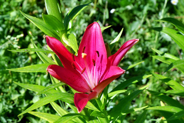 Similar image 21000209