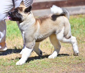 Similar image 21000211