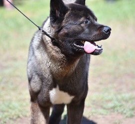 Similar image 21000213