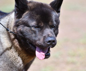 Similar image 21000214